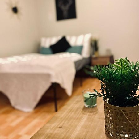 Saniertes Studio - Elisa - Mit Balkon, Wlan, Smart-Tv & Kueche In City-Naehe Erfurt Exteriér fotografie