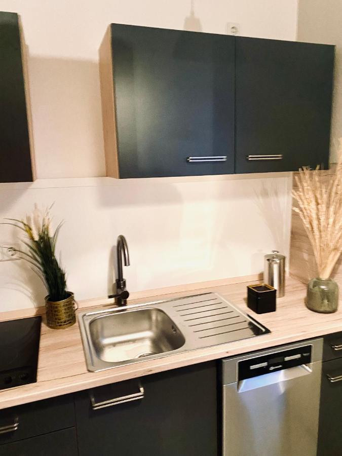 Saniertes Studio - Elisa - Mit Balkon, Wlan, Smart-Tv & Kueche In City-Naehe Erfurt Exteriér fotografie